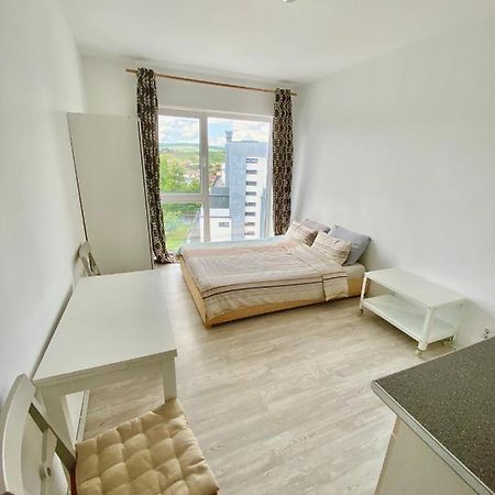 Cozy Studio Near The Center Of Cluj المظهر الخارجي الصورة