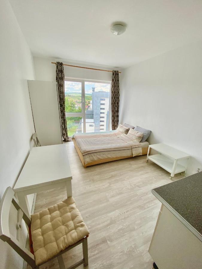 Cozy Studio Near The Center Of Cluj المظهر الخارجي الصورة
